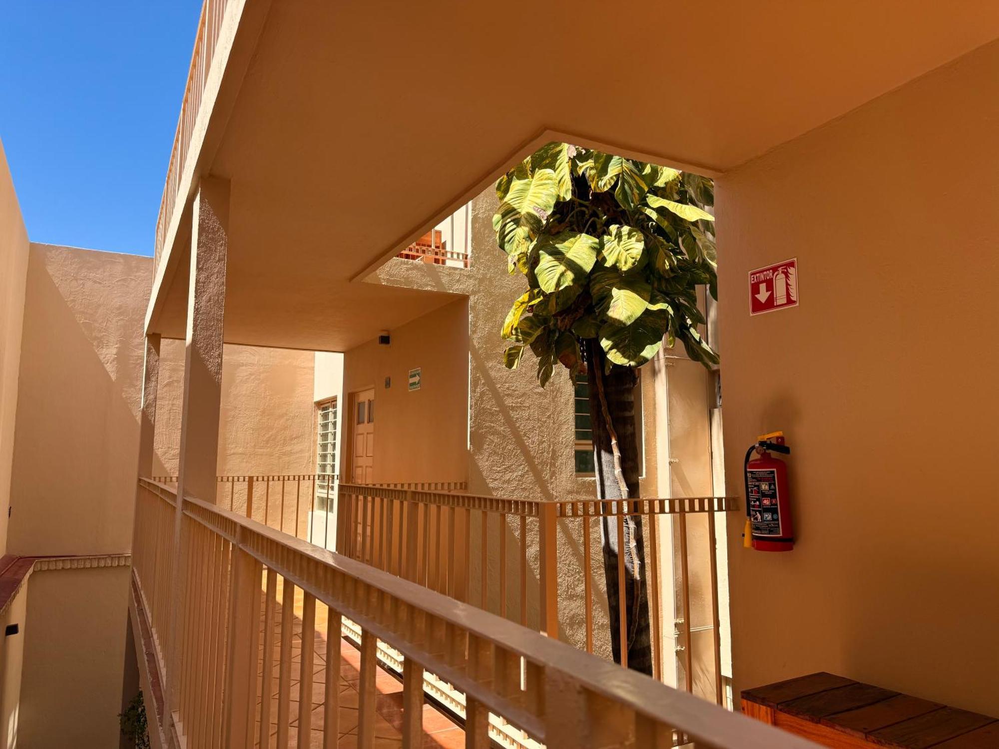 Villa La Palma Hotel Tequila Extérieur photo